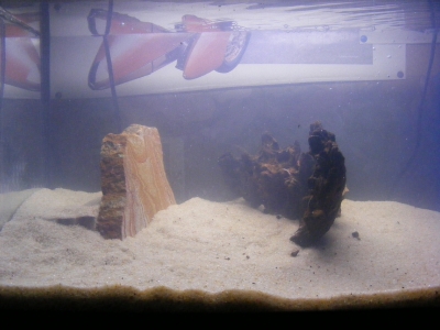 aquadream_60_2008_05_25_02