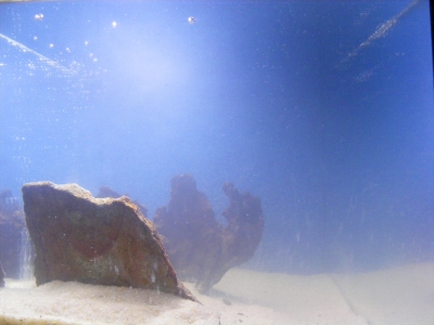 aquadream_60_2008_05_25_03