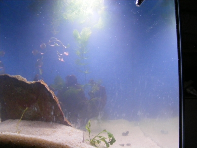 aquadream_60_2008_05_25_09