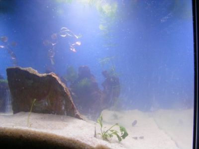 aquadream_60_2008_05_25_14