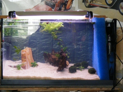 aquadream_60_2008_05_27_14