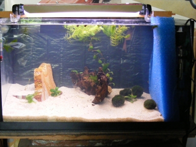aquadream_60_2008_05_27_16