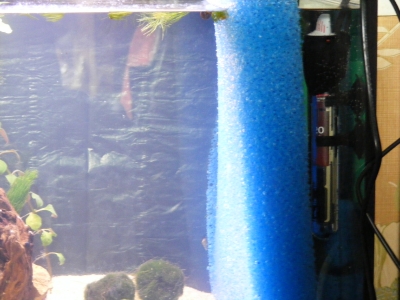 aquadream_60_2008_05_27_17