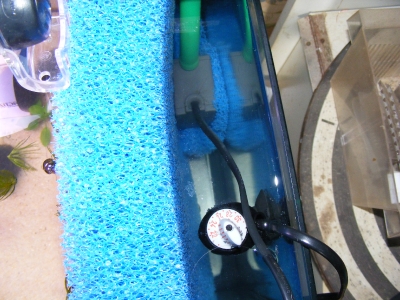 aquadream_60_2008_05_27_18