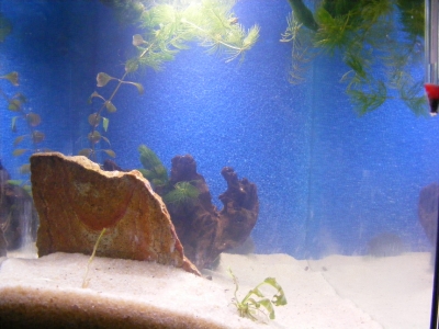 aquadream_60_2008_05_27_20