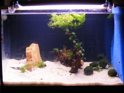 aquadream_60_2008_05_28_01