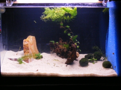 aquadream_60_2008_05_28_03