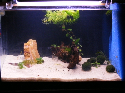 aquadream_60_2008_05_28_04