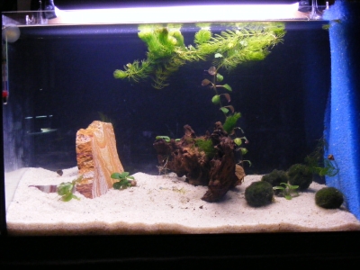 aquadream_60_2008_05_29_01
