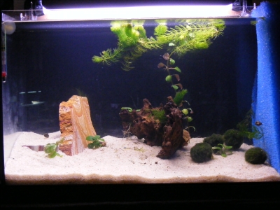 aquadream_60_2008_05_29_02