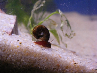 aquadream_60_2008_06_02_02