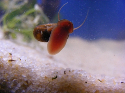 aquadream_60_2008_06_02_04