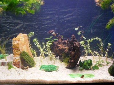 aquadream_60_2008_06_05_06