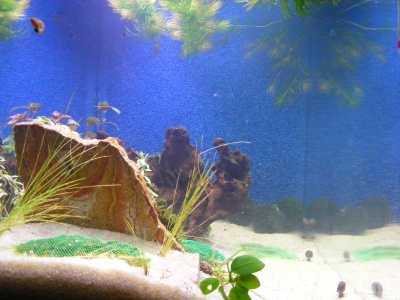 aquadream_60_2008_06_05_09