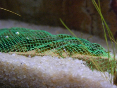 aquadream_60_2008_06_05_10