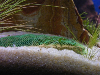 aquadream_60_2008_06_11_09