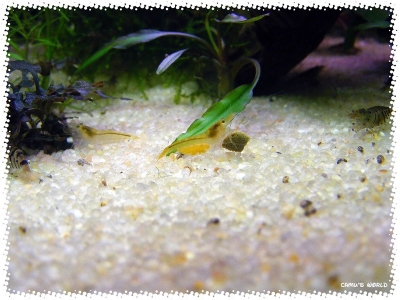 aquadream_60_2008_08_05_10