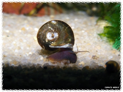 aquadream_60_2008_08_07_14