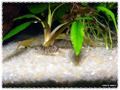 aquadream_60_2008_08_07_17