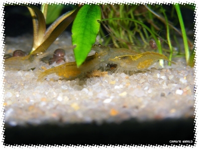 aquadream_60_2008_08_07_28