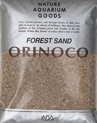 ada_forest_sand_orinoco_01