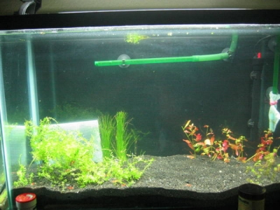 caribsea_eco_complete_planted_aqua03
