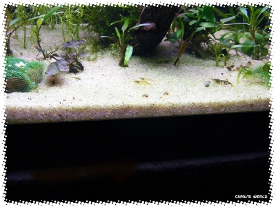 sable_filtre_piscine_06
