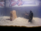 aquadream_60_2008_05_25_01