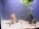 aquadream_60_2008_05_25_17