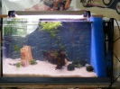 aquadream_60_2008_05_27_14