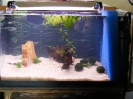 aquadream_60_2008_05_27_15