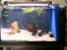 aquadream_60_2008_05_27_16