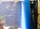 aquadream_60_2008_05_27_17