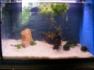 aquadream_60_2008_05_27_24