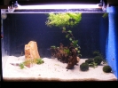aquadream_60_2008_05_28_01