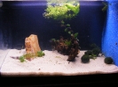 aquadream_60_2008_05_28_06