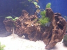 aquadream_60_2008_05_28_08