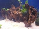 aquadream_60_2008_05_28_09