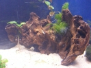 aquadream_60_2008_05_28_10