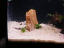 aquadream_60_2008_05_29_03