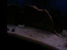 aquadream_60_2008_05_29_04
