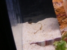 aquadream_60_2008_05_29_06