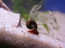 aquadream_60_2008_06_02_01