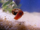 aquadream_60_2008_06_02_03