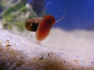 aquadream_60_2008_06_02_04