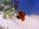 aquadream_60_2008_06_02_05