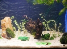 aquadream_60_2008_06_05_03