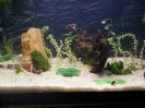 aquadream_60_2008_06_05_05