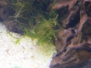 aquadream_60_2008_06_05_14