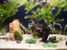aquadream_60_2008_06_11_02